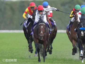 【ジャパンカップ】単勝オッズ30倍以上は無条件で消していい！3連単的中させる相手馬の狙い方