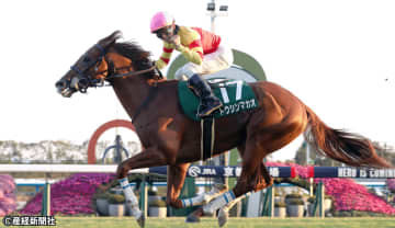 【京阪杯】思い切って消していい人気馬とは！？ 過去10年の傾向から考える3連単を的中させる軸馬の選び方