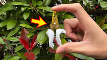 「マジで小さい」「数百円で買える」超ミニサイズのプライヤーなのに『全機能』搭載でバッグに忍ばせておきたい件。