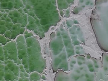 初冬の中国・新疆ロプノール塩湖　タリム盆地に埋め込まれた「翡翠」