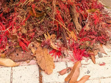 庭の落ち葉で作った『カルシファー』　そのクオリティの高さに「天才」の声！