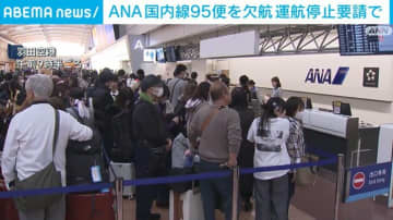 ANA 国内線95便を欠航 運航停止要請で