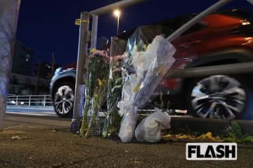 足立区11人死傷ひき逃げ事件、目撃者が明かした「凄惨な現場」…歩道の樹木には、なぎ倒されたような痕跡も