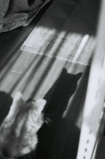 山本春花写真展：永遠より少し長い日