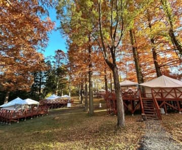 “泊まれる植物園” がコンセプトのアウトドアリゾートがオープン！　茨城県に開業した「ボタニカルリゾート林音（りんね）」は驚きの連続と魅力が満載！！【内覧会リポート】