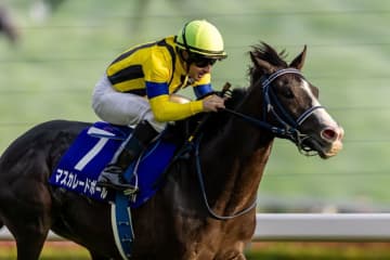 【ジャパンカップ】マスカレードボールは7枠15番から…仏カランダガンは4枠8番