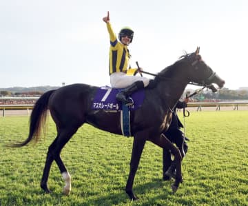 【ジャパンC】マスカレードボールが真の王座へ 成長を見せて戴冠なるか