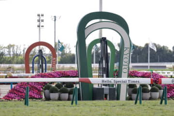 【京都2歳S】伏兵ジャスティンビスタの大外一気が炸裂