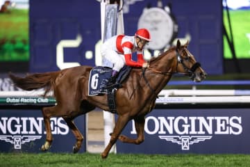 【ジャパンC】ダノンデサイル 「ベリーベリーホース」が得意の2400mで快走の予感