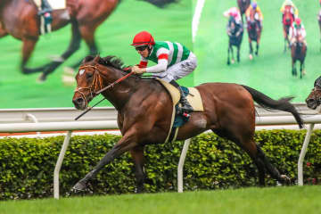 【ジャパンC】タスティエーラ 復活を遂げた世代屈指の実力馬が王座を狙う