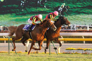 「今見ても鳥肌」伝説のJCに競馬ファン涙　馬体ぶつけあい…3冠馬の一騎打ちは「泣ける」