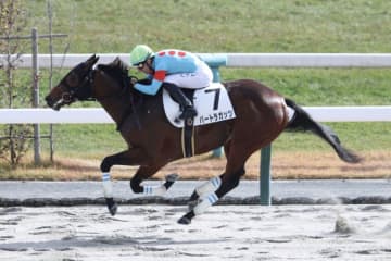【新馬/京都6R】エンブロイダリー半弟 バートラガッツが断然の支持に応える