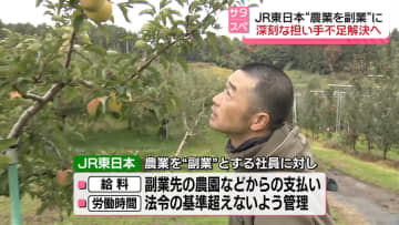 JR東日本の社員がリンゴ収穫…ナゼ？　“農業を副業”に