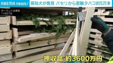 パセリに隠された“密輸タバコ”約5万本 探知犬とX線が暴く 押収品の価値は約3600万円超 ポーランド