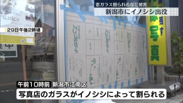 イノシシ出没　新潟市で被害相次ぐ
