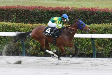 「ここまでバケモンだとは…」完璧3連勝、砂の新スター候補に競馬ファン衝撃「強すぎ」