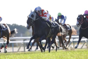 【東山S】武豊ヤブサメがオープン入り