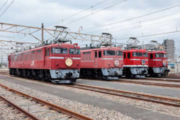 運用終了の名機「EF81」「ED75」が集う... JR東、12月に秋田車両センターで撮影会 引退から4年“あのロクヨン”も