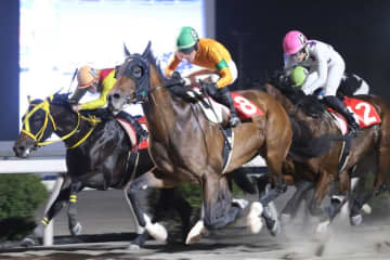 【高知・浦戸湾特別】7番人気リーチアディールが差し切りV…高知転入後初の準重賞制覇