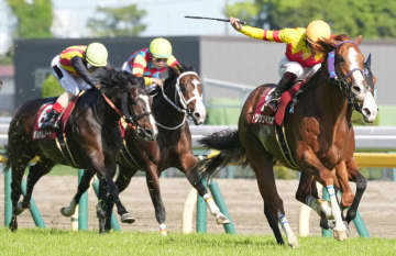 トウシンマカオが登録抹消…種牡馬入り