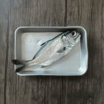 キンメダイとひと文字違いなのに全く別物？初めて食べる「ギンメダイの塩焼き」