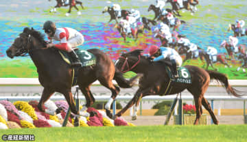 【京阪杯】着順の悪い馬の方が走る傾向にある前走組とは！？ 過去10年の傾向から見えてくる波乱の主役となり得る馬