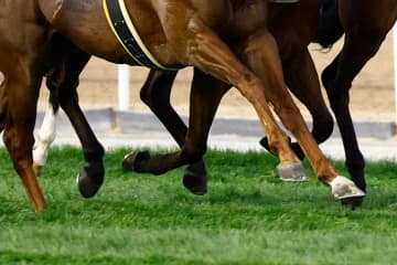 「マジか」「！？」　ジャパンC当日に届いた一報に競馬ファン衝撃「狙ってたのに」
