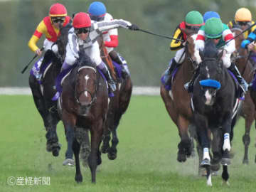 【ジャパンカップ】06年以降馬券圏内なし！買ってはいけない馬券とは！？