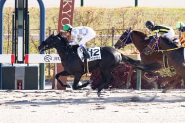 【京都7R】武豊ドゥラエテルノが鮮やかな差し切りV