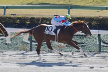 【新馬/東京5R】マーカンド騎乗 エジプシャンマウがデビューV