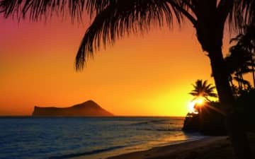 ハワイの夜を楽しむ方法｜自然・食・遊びを満喫する秘訣