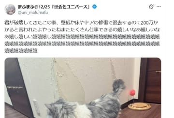 飼い猫が壊した家の退去費用にSNS騒然…「桁が違う」と驚かれた金額とは【話題のニュース3選】