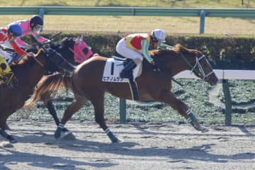 【東京1R】柴田善臣が連日の勝利…最年長勝利記録を1日更新
