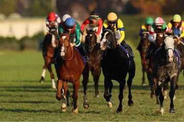 「落馬したのに…」　ジャパンCで衝撃展開、騎手乗せず“トップフィニッシュ”に騒然「お利口」