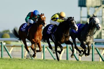 【ジャパンカップ】欧州年度代表馬の意地！世界最強カランダガンが差し切る…アドマイヤテラはスタートで落馬、波乱のジャパンカップ