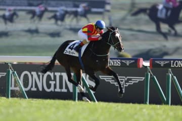 【新馬/東京6R】キタサンブラック産駒 ゴーラッキーがデビューV