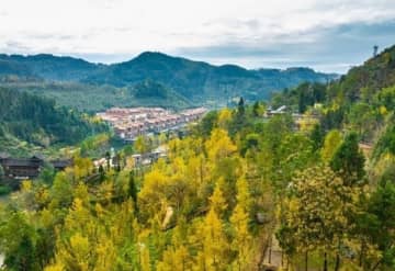 黄葉狩りとイチョウアート、遠足の児童らでにぎわう貴州省の村―中国