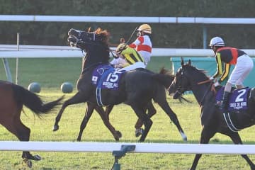 ジャパンC3着後に落馬のダノンデサイル　安田師が現状説明「骨や腱等に損傷はなく…」