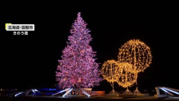 「感動しました」函館でクリスマスツリー点灯…LED15万個彩り　富山では正月の縁起物「新巻鮭」天日干し作業始まる