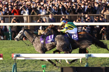 「感動、衝撃、心配」SNS騒然のジャパンC、計３頭の落馬に空馬が先頭ゴール、驚異のレコード決着…「色々カオスなレースだった!!」