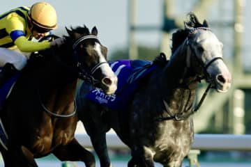 【ジャパンカップ】アドマイヤテラはスタートで落馬、2、3着馬はゴール入線後放馬と波乱…欧州年度代表馬カランダガンがV