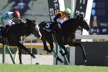 【ベゴニア賞】良血ドリームコアが2勝目…母はノームコア