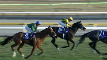 【ジャパンカップ・GⅠ】これが世界No.1ホースの実力！カランダガンが衝撃的タイムで外国馬20年ぶり制覇！