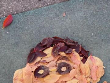 『落ち葉アート』に取り組む高校教師　70万人が反応した『しんちゃん』に「AIじゃないの？」