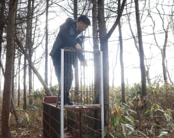 クマ対策、スマホで効率化　巡回や銃猟の負担軽減