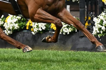 ジャパンC直後…競馬場に現れた球界大物「マジかよ」　ひと際目立つスタイル「カッコよすぎ」