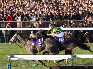 ジャパンカップ1着はカランダガン。1番人気のマスカレードボールは2着！騎手「能力があるから、次も楽しみ」