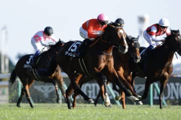 【ウェルカムS】マーカンド騎乗 ヴィレムが人気に応える