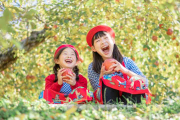 秋の味覚を堪能！関東で楽しむ果物狩りスポット12選 〜週末は都心を抜け出して。大人もときめく旬の「収穫体験」へ〜