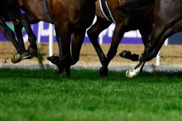 日本の競馬文化を「全世界で流行らせるべき」　海外メディアが称賛した東京競馬場の名所に反響